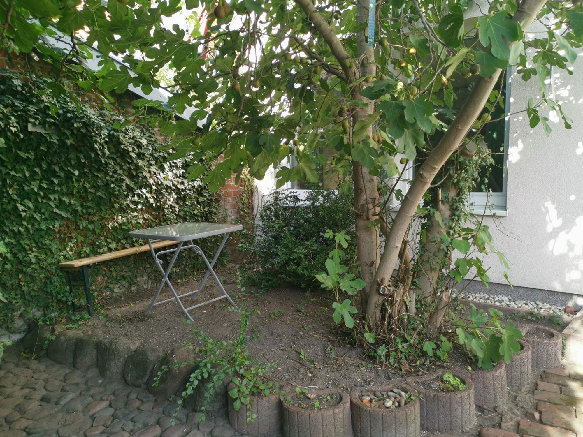 Villa Haus am Hafen Neustadt in Holstein Exterior foto